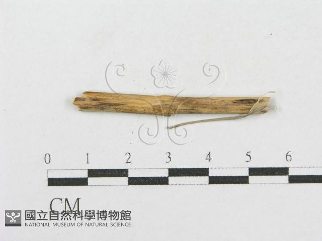 登錄號:F0012786藏品圖，第1張