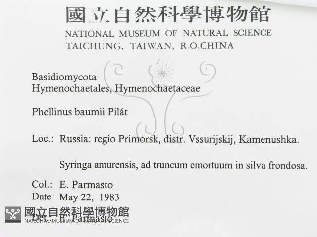 登錄號:F0015786藏品圖，第3張