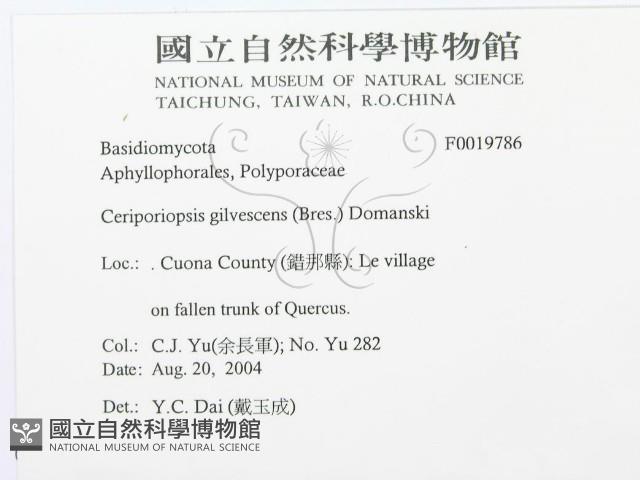 登錄號:F0019786藏品圖，第3張