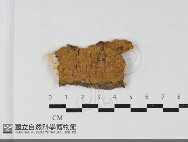 登錄號:F0033786藏品圖，第1張