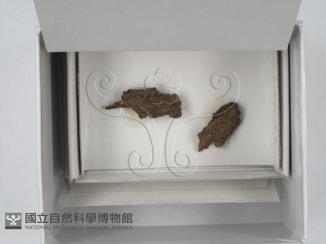 登錄號:F0018586藏品圖，第1張