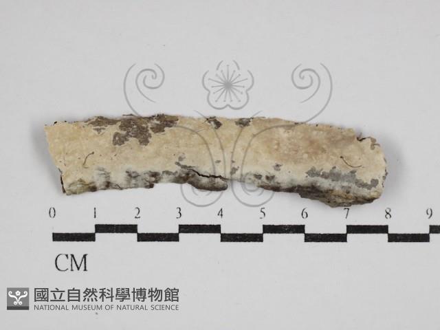 登錄號:F0030586藏品圖，第1張