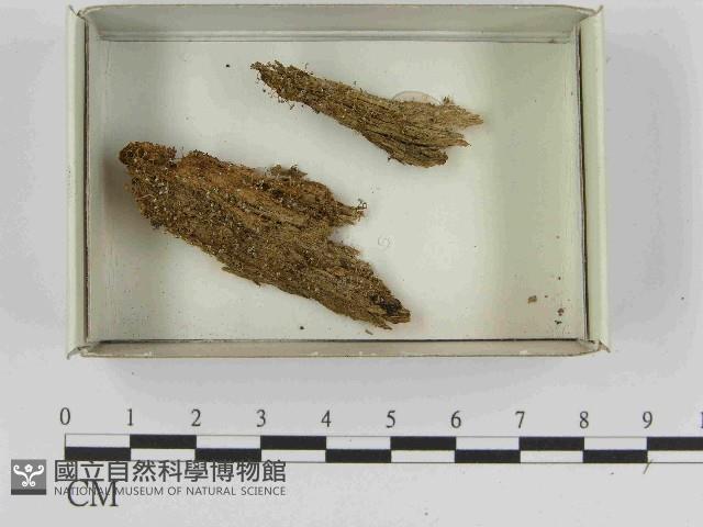 登錄號:F0021586藏品圖，第1張