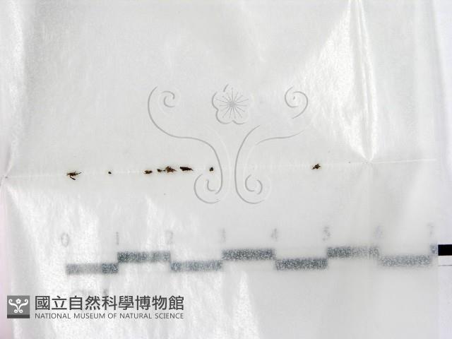 登錄號:F0002586藏品圖，第1張