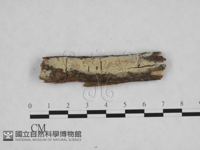 登錄號:F0009186藏品圖，第1張