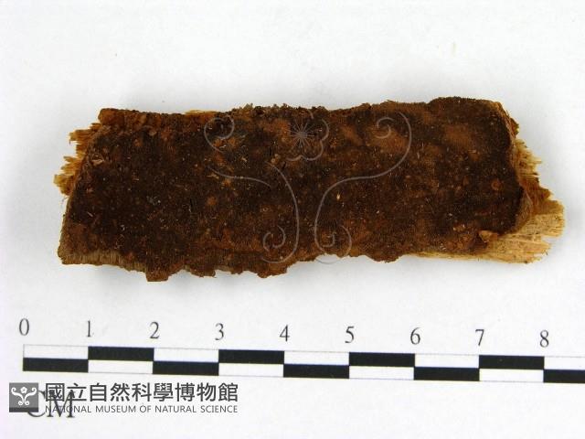 登錄號:F0008086藏品圖，第1張