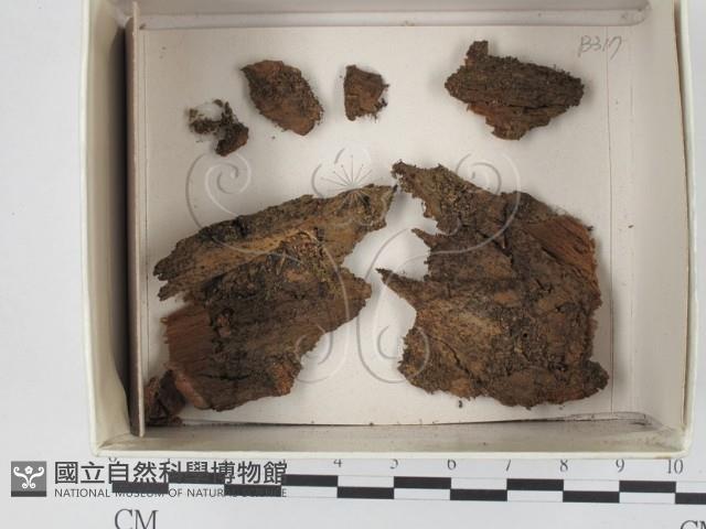 登錄號:F0021086藏品圖，第1張