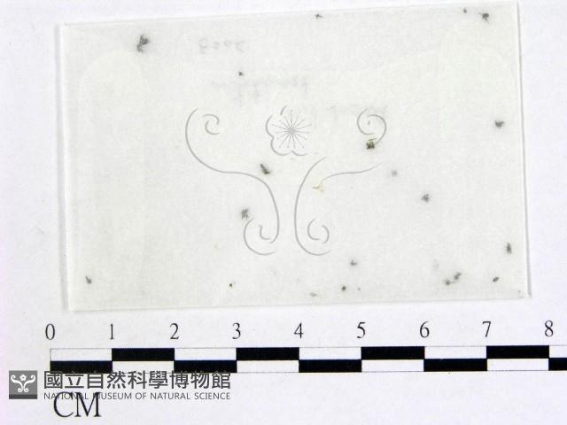 登錄號:F0010386藏品圖，第1張