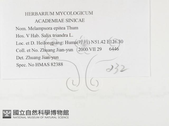登錄號:F0026386藏品圖，第3張