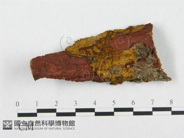 登錄號:F0002386藏品圖，第1張