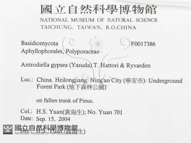 登錄號:F0017386藏品圖，第3張