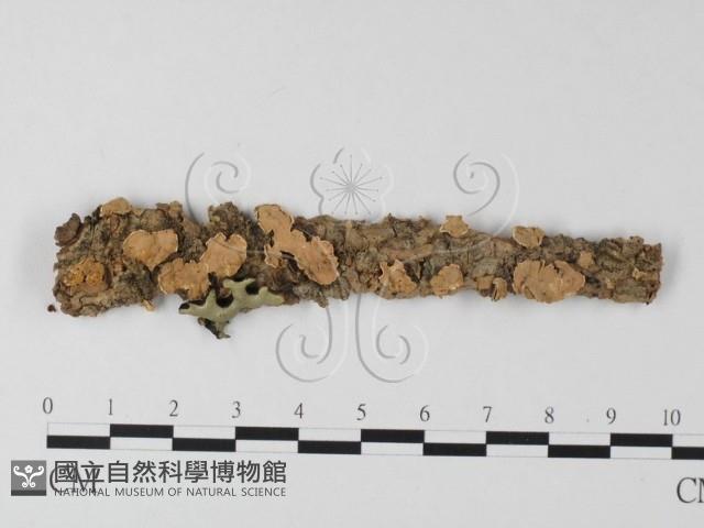 登錄號:F0025386藏品圖，第1張