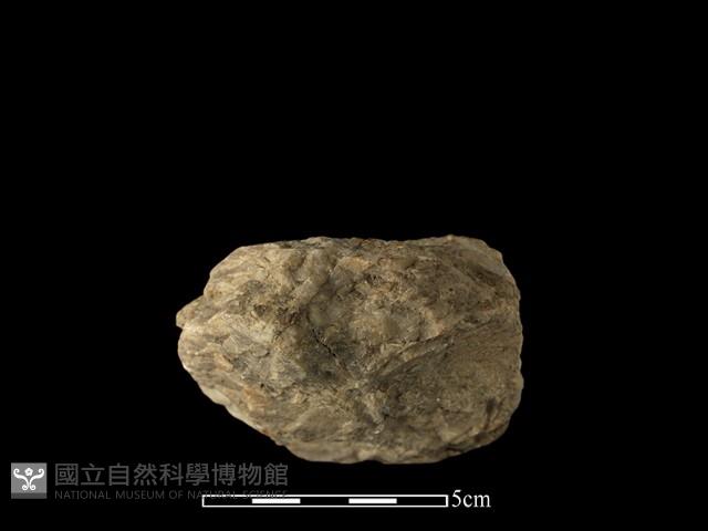 石球藏品圖，第1張