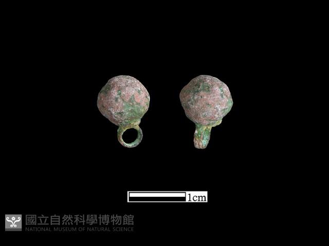 鈕子藏品圖，第1張