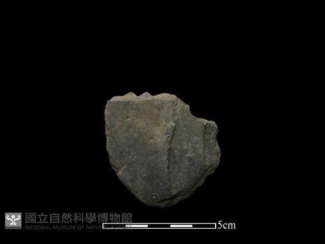 磨製斧鋤形器藏品圖，第1張