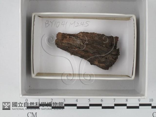 登錄號:F0018121藏品圖，第1張