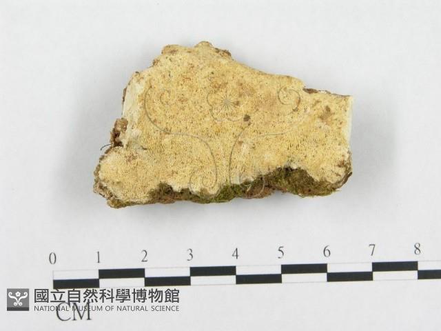 登錄號:F0007121藏品圖，第1張