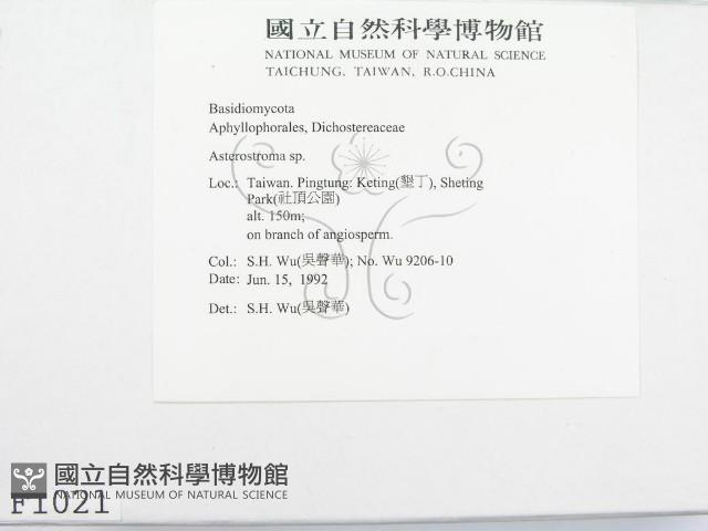 登錄號:F0001021藏品圖，第3張