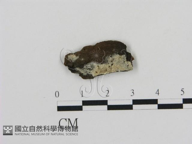 登錄號:F0004021藏品圖，第1張