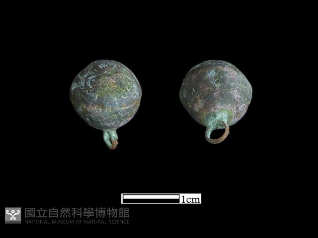 鈕子藏品圖，第1張