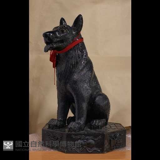 義公犬藏品圖，第2張
