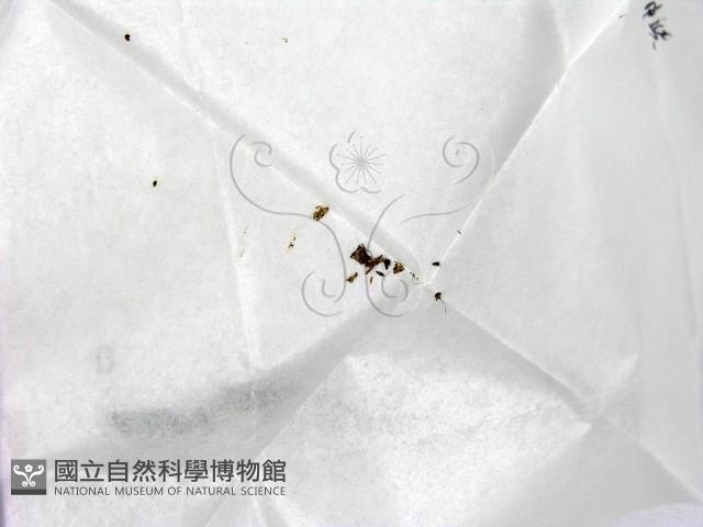 登錄號:F0000201藏品圖，第1張