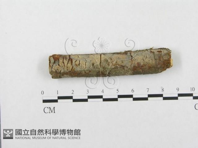 登錄號:F0001201藏品圖，第1張