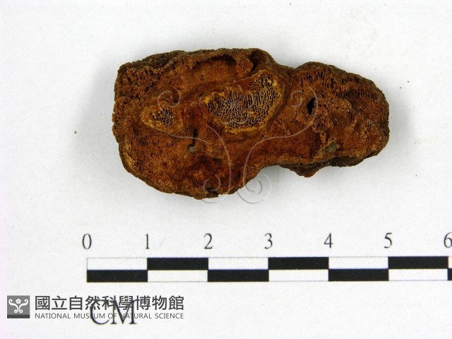 登錄號:F0007201藏品圖，第1張