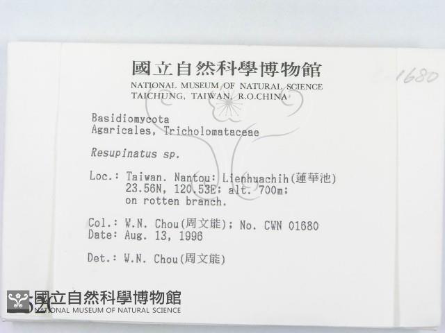 登錄號:F0005201藏品圖，第3張