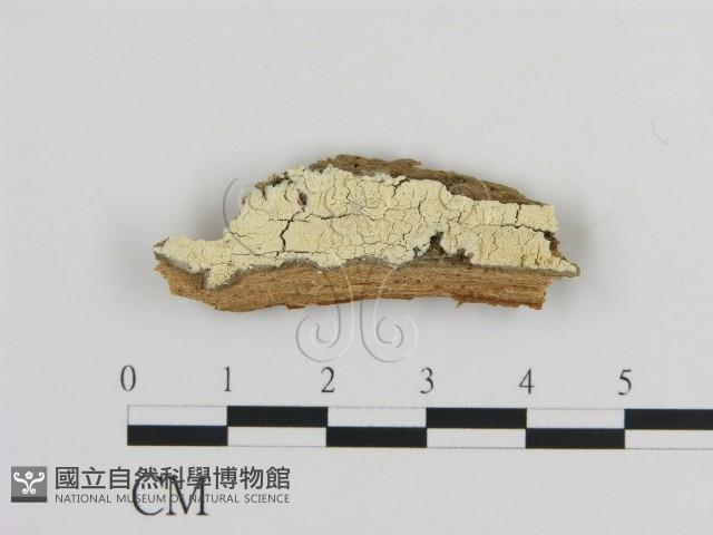 登錄號:F0015201藏品圖，第1張
