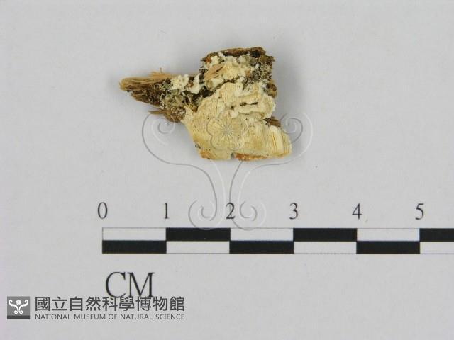 登錄號:F0009601藏品圖，第1張