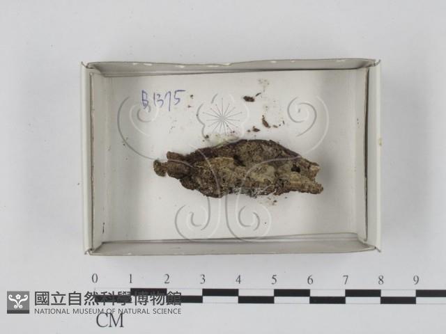 登錄號:F0018401藏品圖，第1張
