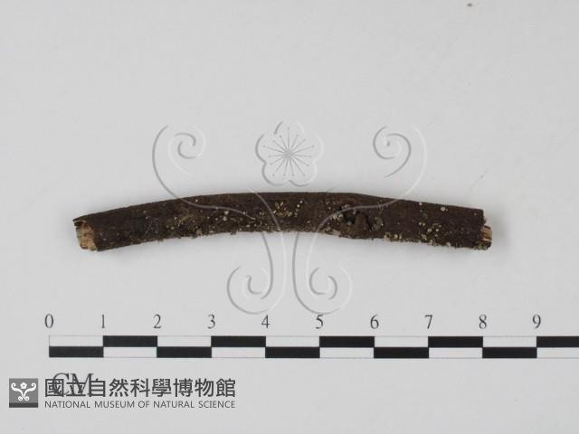 登錄號:F0007401藏品圖，第1張