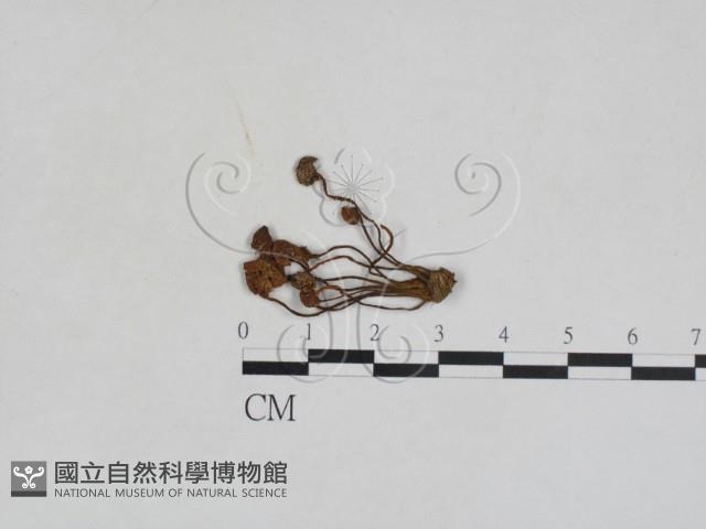 登錄號:F0028001藏品圖，第1張