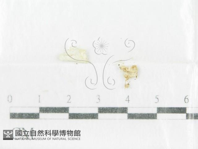 登錄號:F0001001藏品圖，第1張
