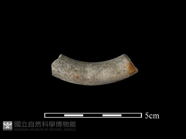 手鐲藏品圖，第2張