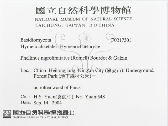登錄號:F0017301藏品圖，第3張