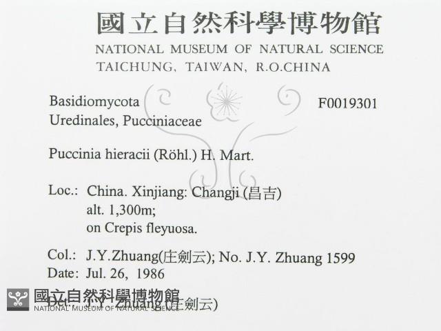 登錄號:F0019301藏品圖，第3張