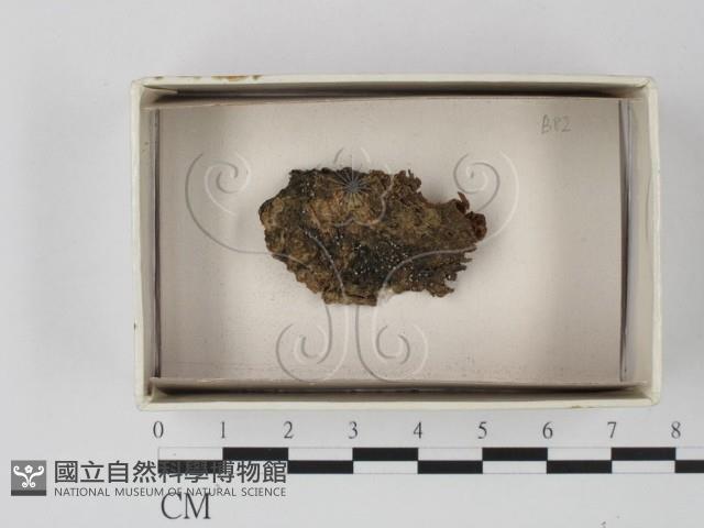 登錄號:F0018211藏品圖，第1張