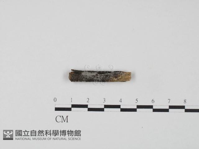 登錄號:F0004211藏品圖，第1張