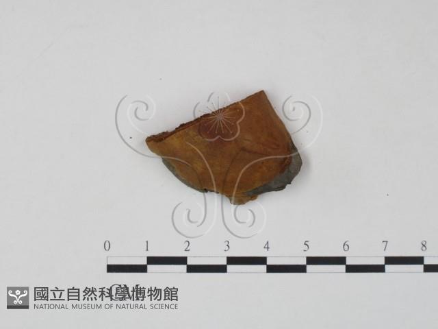 登錄號:F0007211藏品圖，第1張