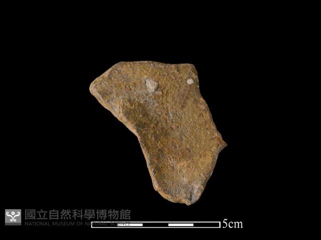 連杯形器藏品圖，第1張