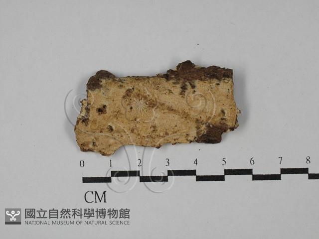 登錄號:F0029011藏品圖，第1張