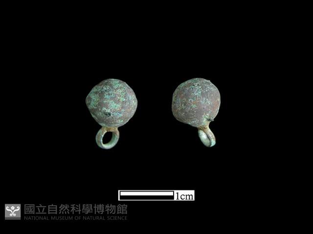 鈕子藏品圖，第2張