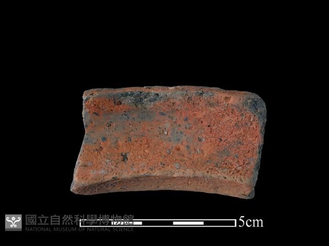 陶罐藏品圖，第1張