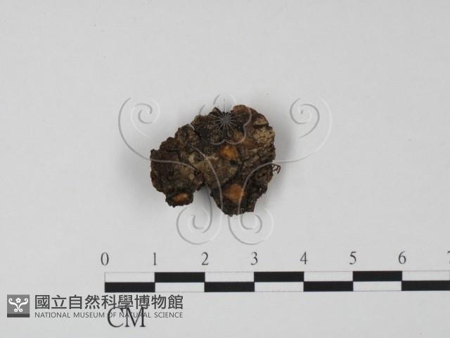 登錄號:F0008291藏品圖，第1張