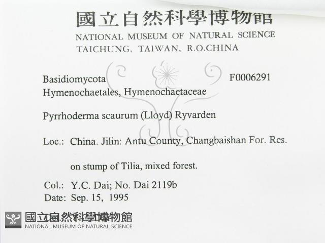 登錄號:F0006291藏品圖，第3張