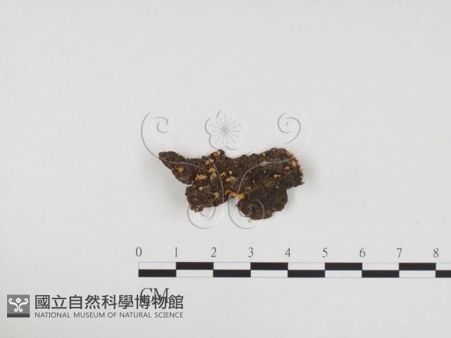 登錄號:F0024291藏品圖，第1張