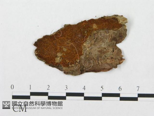 登錄號:F0007291藏品圖，第1張