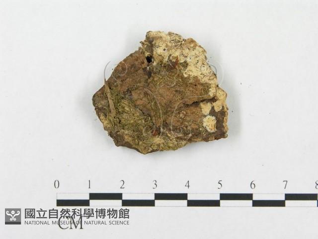 登錄號:F0015291藏品圖，第1張
